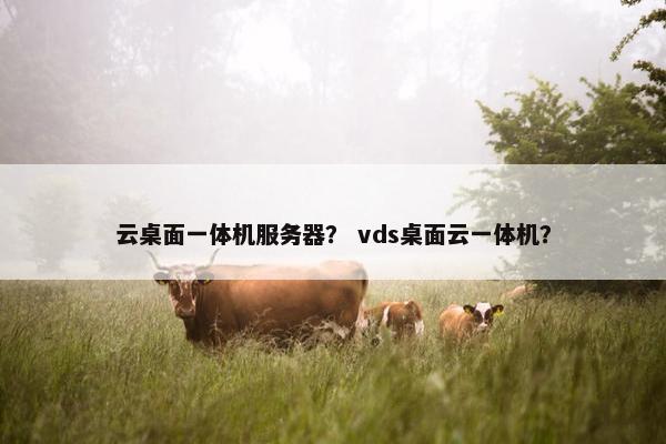 云桌面一体机服务器？ vds桌面云一体机？