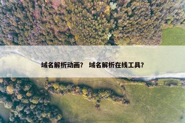 域名解析动画？ 域名解析在线工具？