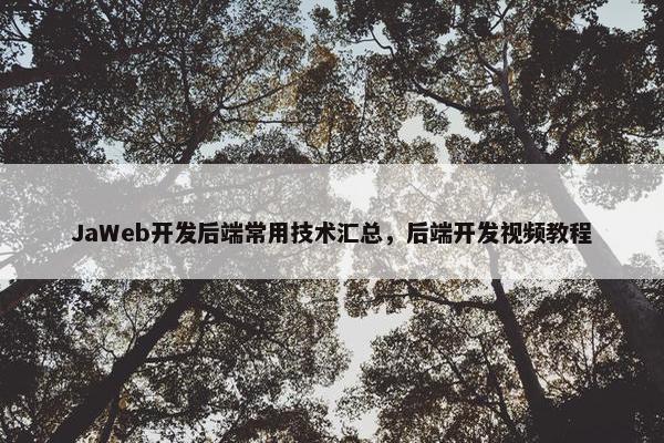 JaWeb开发后端常用技术汇总，后端开发视频教程