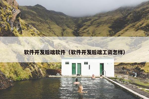 软件开发后端软件（软件开发后端工资怎样）