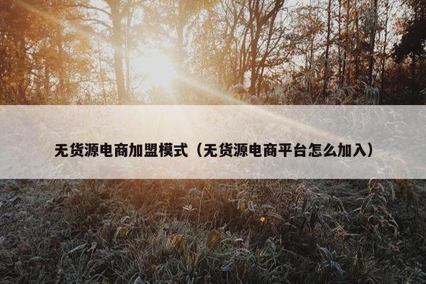 无货源电商加盟模式（无货源电商平台怎么加入）