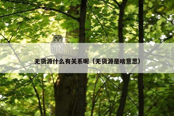 无货源什么有关系呢（无货源是啥意思）