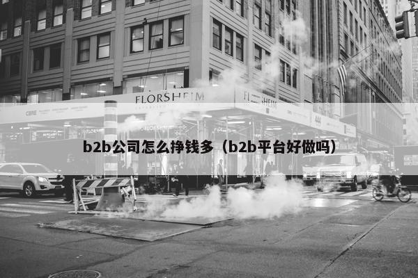 b2b公司怎么挣钱多（b2b平台好做吗）