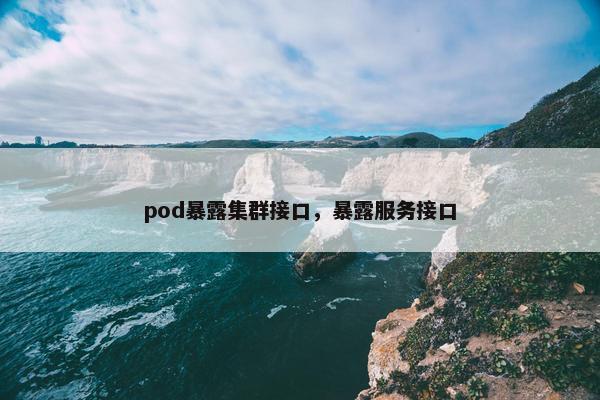 pod暴露集群接口，暴露服务接口
