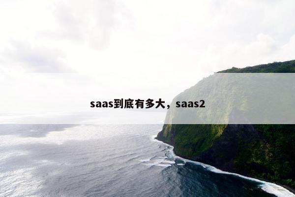 saas到底有多大，saas2