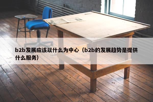 b2b发展应该以什么为中心（b2b的发展趋势是提供什么服务）