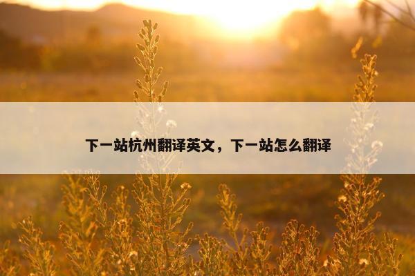 下一站杭州翻译英文，下一站怎么翻译