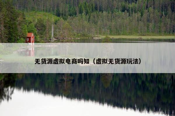 无货源虚拟电商吗知（虚拟无货源玩法）