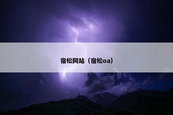 宿松网站（宿松oa）