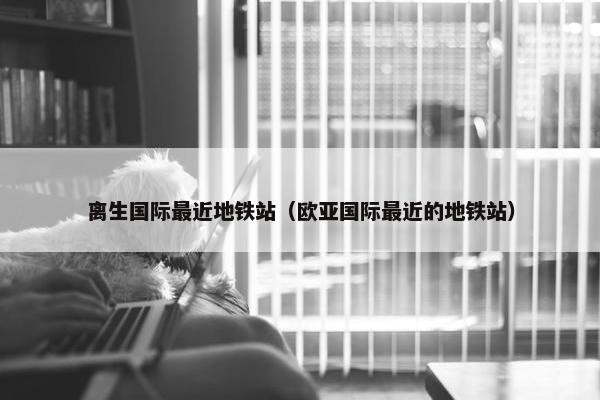 离生国际最近地铁站（欧亚国际最近的地铁站）
