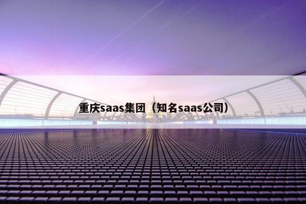 重庆saas集团（知名saas公司）