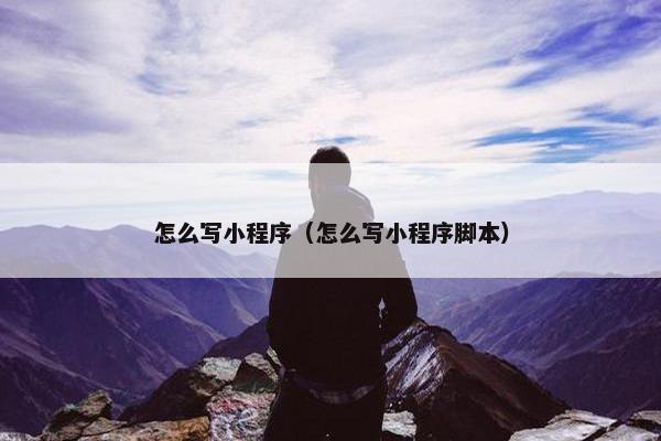 怎么写小程序（怎么写小程序脚本）