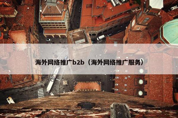海外网络推广b2b（海外网络推广服务）