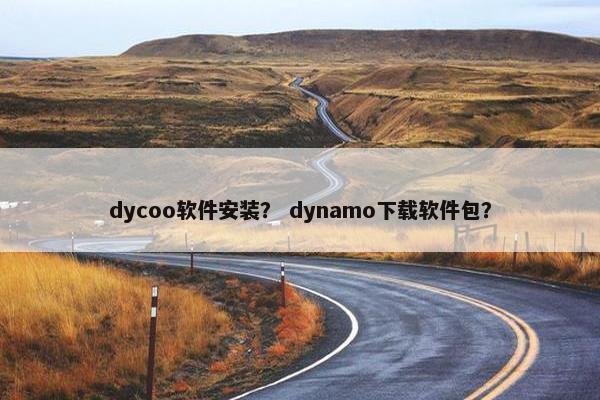 dycoo软件安装？ dynamo下载软件包？