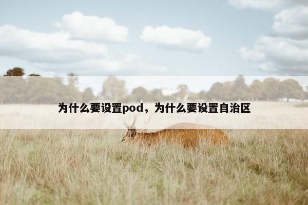 为什么要设置pod，为什么要设置自治区