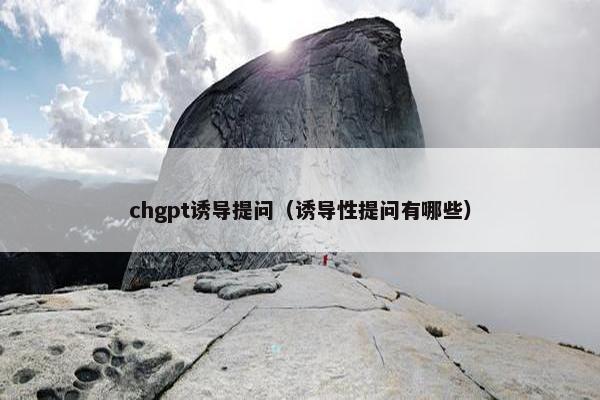 chgpt诱导提问（诱导性提问有哪些）
