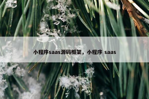 小程序saas源码框架，小程序 saas