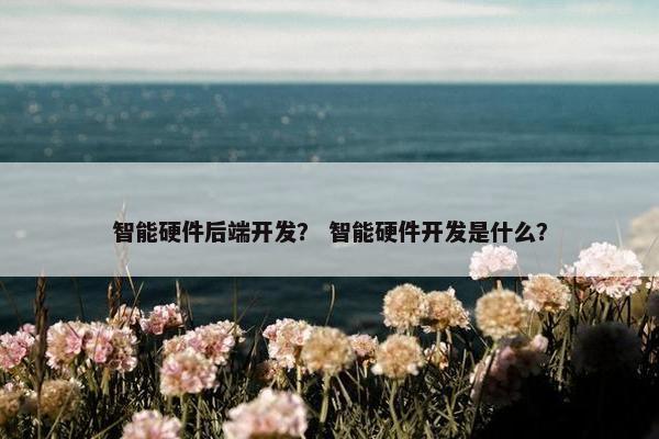 智能硬件后端开发？ 智能硬件开发是什么？