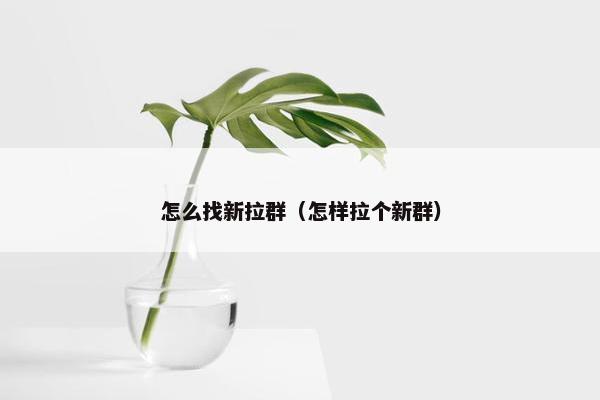怎么找新拉群（怎样拉个新群）