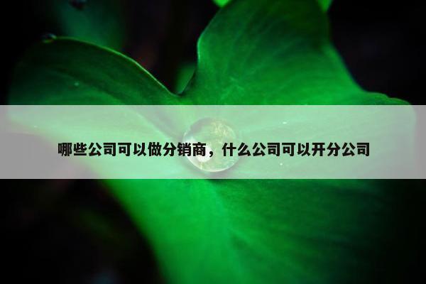 哪些公司可以做分销商，什么公司可以开分公司