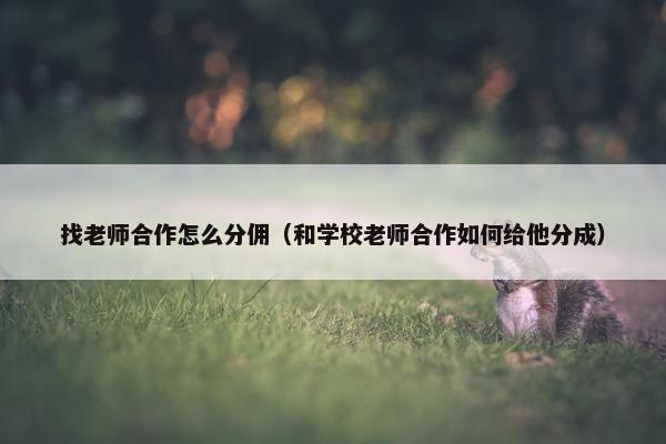 找老师合作怎么分佣（和学校老师合作如何给他分成）