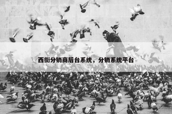 西街分销商后台系统，分销系统平台
