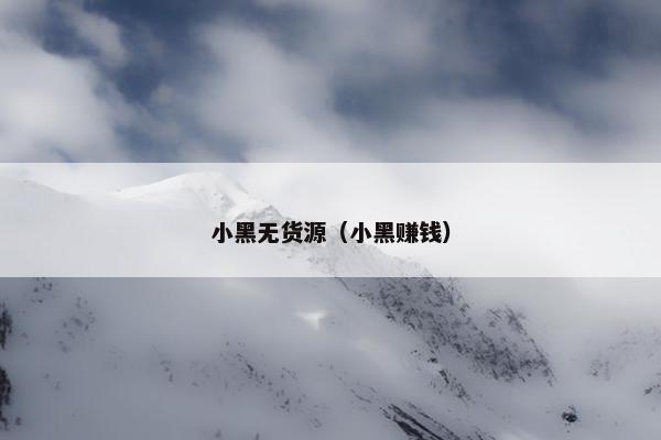 小黑无货源（小黑赚钱）