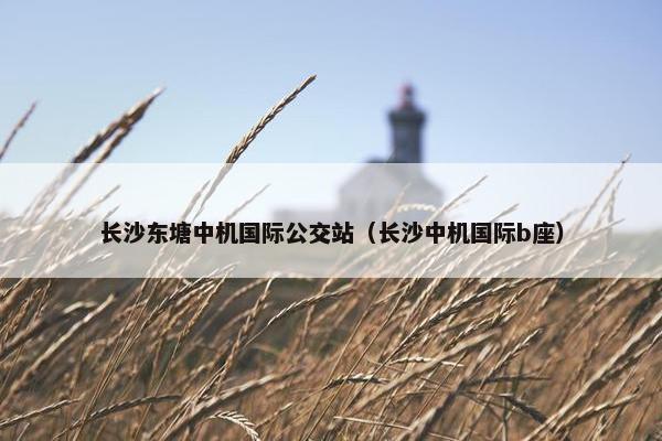 长沙东塘中机国际公交站（长沙中机国际b座）