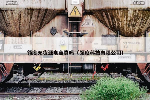 领度无货源电商真吗（领度科技有限公司）