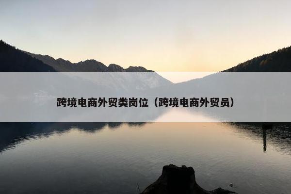 跨境电商外贸类岗位（跨境电商外贸员）