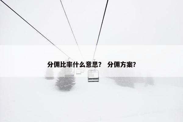 分佣比率什么意思？ 分佣方案？