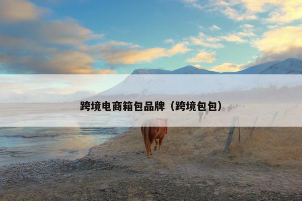 跨境电商箱包品牌（跨境包包）