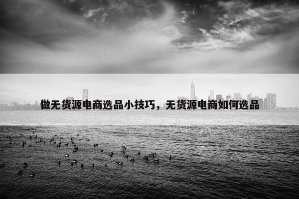 做无货源电商选品小技巧，无货源电商如何选品