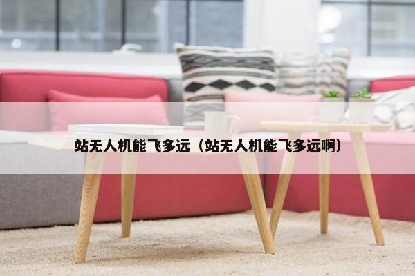 站无人机能飞多远（站无人机能飞多远啊）