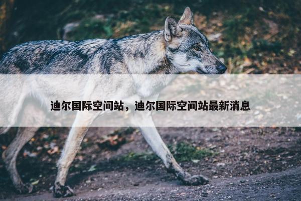 迪尔国际空间站，迪尔国际空间站最新消息