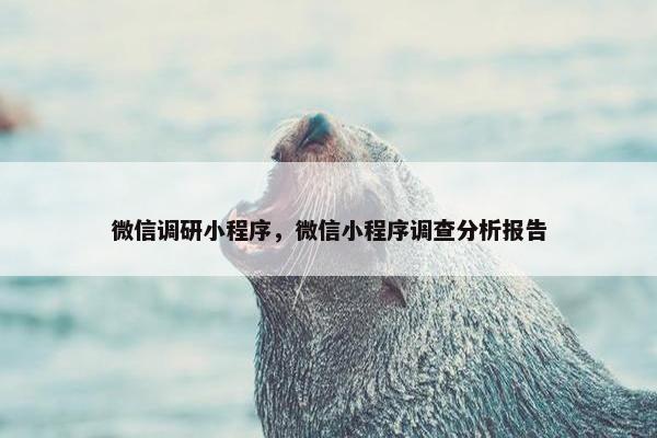 微信调研小程序，微信小程序调查分析报告