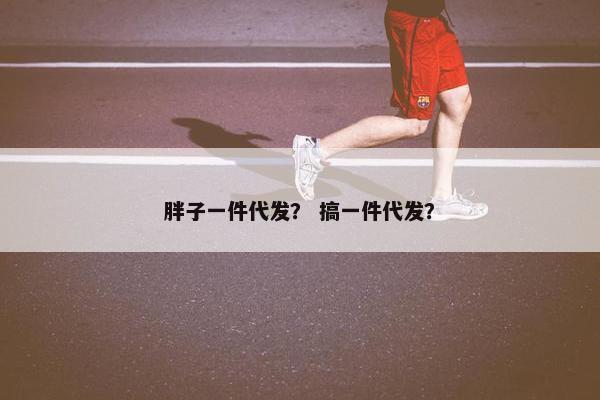 胖子一件代发？ 搞一件代发？