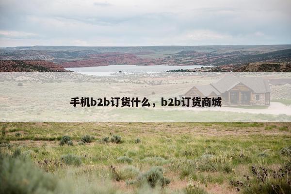手机b2b订货什么，b2b订货商城