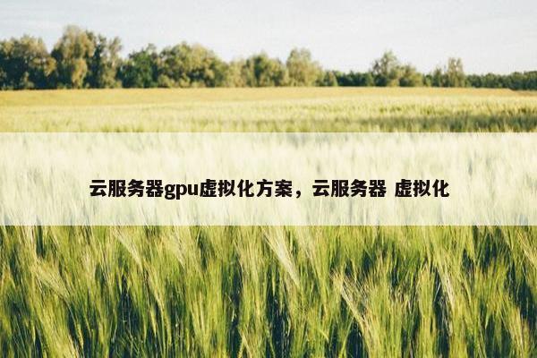 云服务器gpu虚拟化方案，云服务器 虚拟化