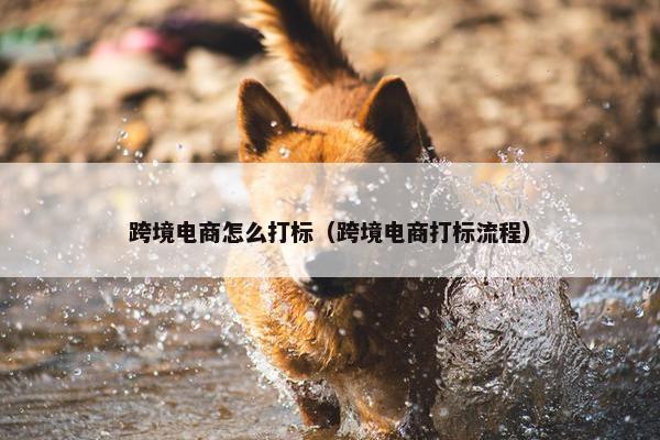 跨境电商怎么打标（跨境电商打标流程）
