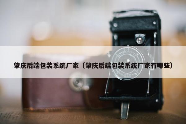 肇庆后端包装系统厂家（肇庆后端包装系统厂家有哪些）