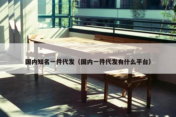 国内知名一件代发（国内一件代发有什么平台）