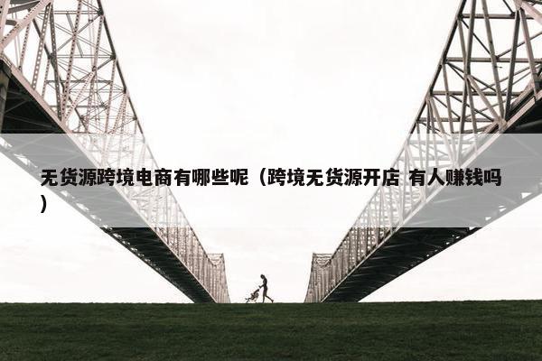 无货源跨境电商有哪些呢（跨境无货源开店 有人赚钱吗）