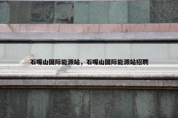 石嘴山国际能源站，石嘴山国际能源站招聘