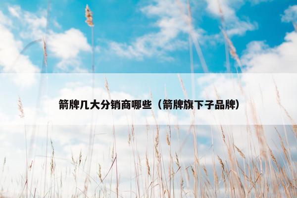 箭牌几大分销商哪些（箭牌旗下子品牌）