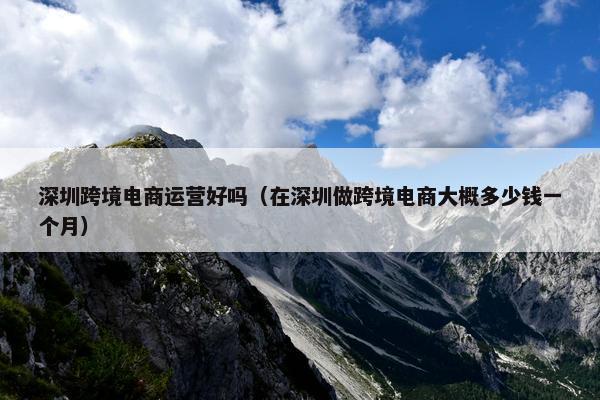 深圳跨境电商运营好吗（在深圳做跨境电商大概多少钱一个月）