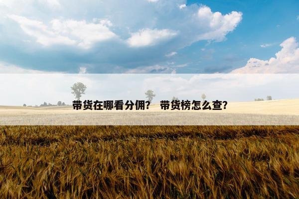 带货在哪看分佣？ 带货榜怎么查？