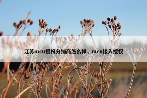 江苏mcu授权分销商怎么样，mcu接入授权