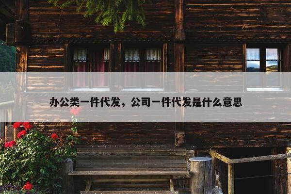 办公类一件代发，公司一件代发是什么意思