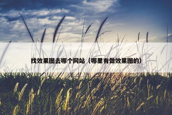 找效果图去哪个网站（哪里有做效果图的）